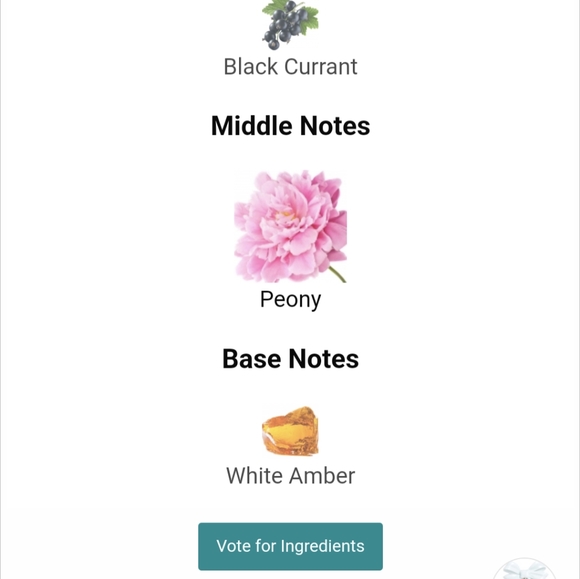 LOVESHACKFANCY Boheme Perfume unavailable in Canada - Picture 3 of 4